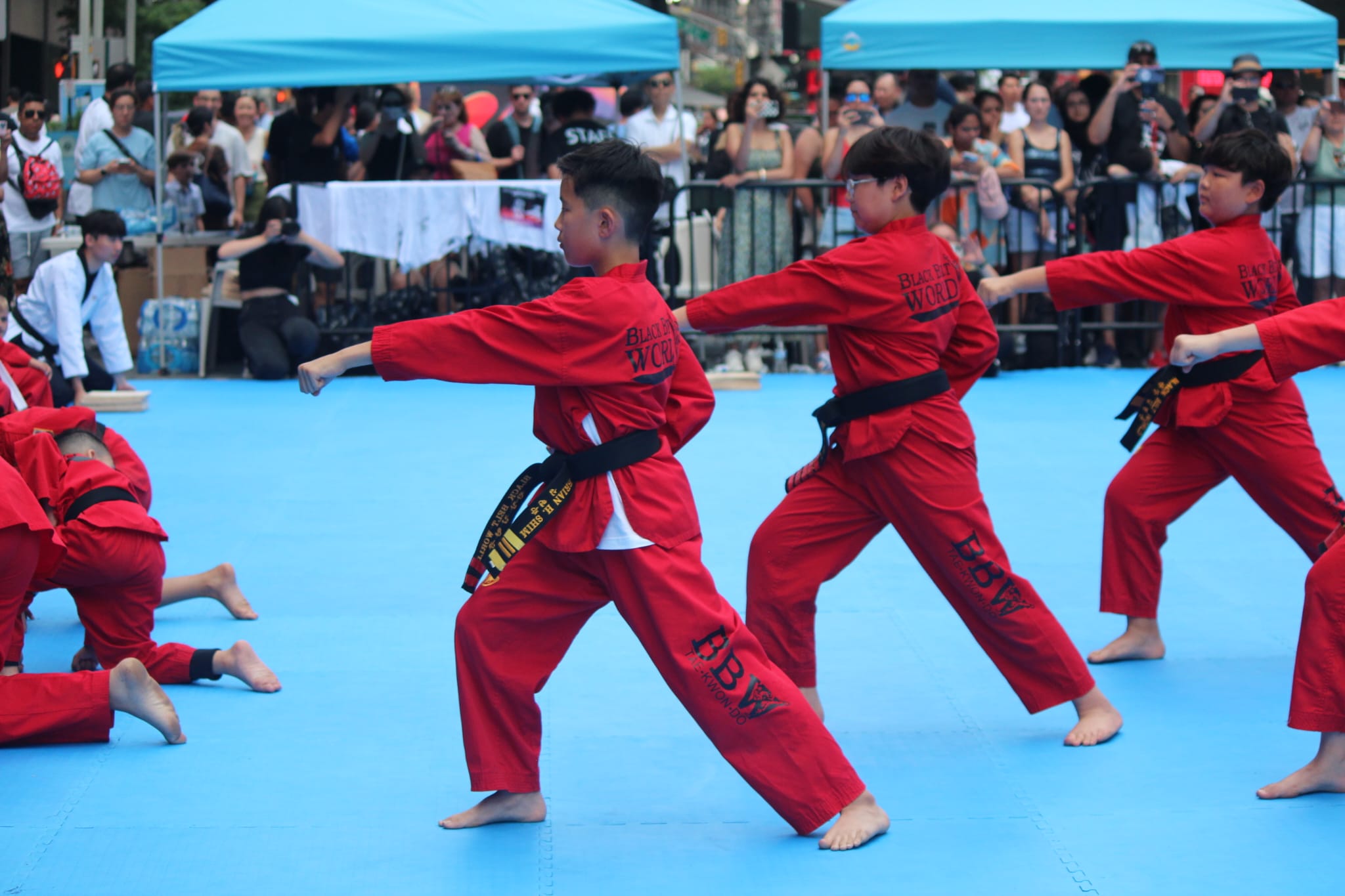 Demonstration Team performing dynamic Taekwondo choreography